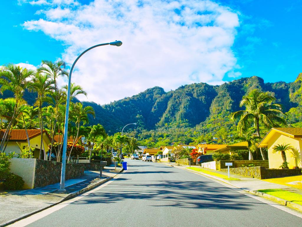 Hawaii (HI) State To State Moving Services