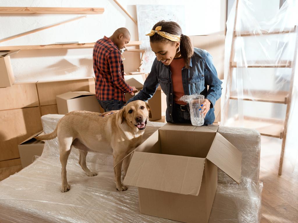 Questions To Ask Your Pet Mover Before Hiring Them