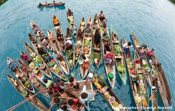 Why It’s Wise to Hire a Professional Overseas Transporter to Ship a Car to the Solomon Islands