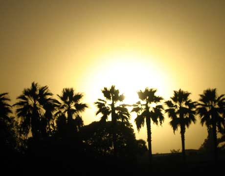 Southern California Auto Transport Companies