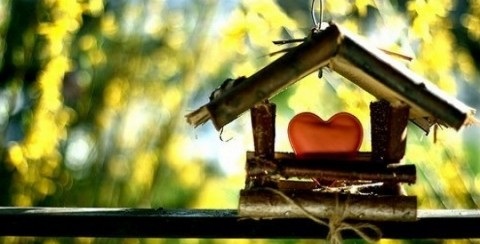 How to Make Your New Place in the United Kingdom Feel Like Home