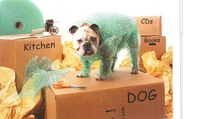 Cheap Movers In Crown Point