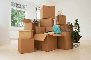 An Overview Of The Different Packing Supplies You Are Likely To Use/Need