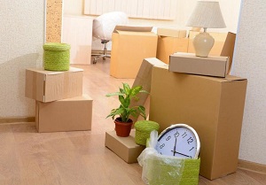 What You Should Expect from Your Mover on The Moving Day