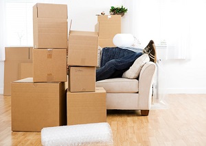 Different Factors To Consider When Choosing The Right Storage Solution For Your Furniture