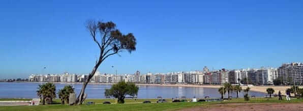 The Process of Shipping a Car to Uruguay from the US Is Affordable and Reliable Even with Container Services